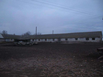 Ферма в Ольшанке